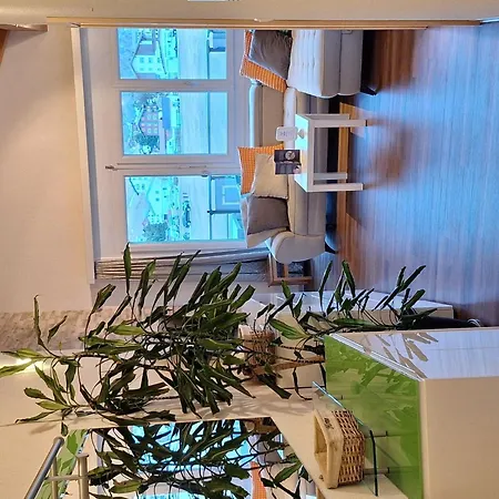 Haus Samurai Appartement-fewo 2-bettwohnung Nr- 80 By Interhome